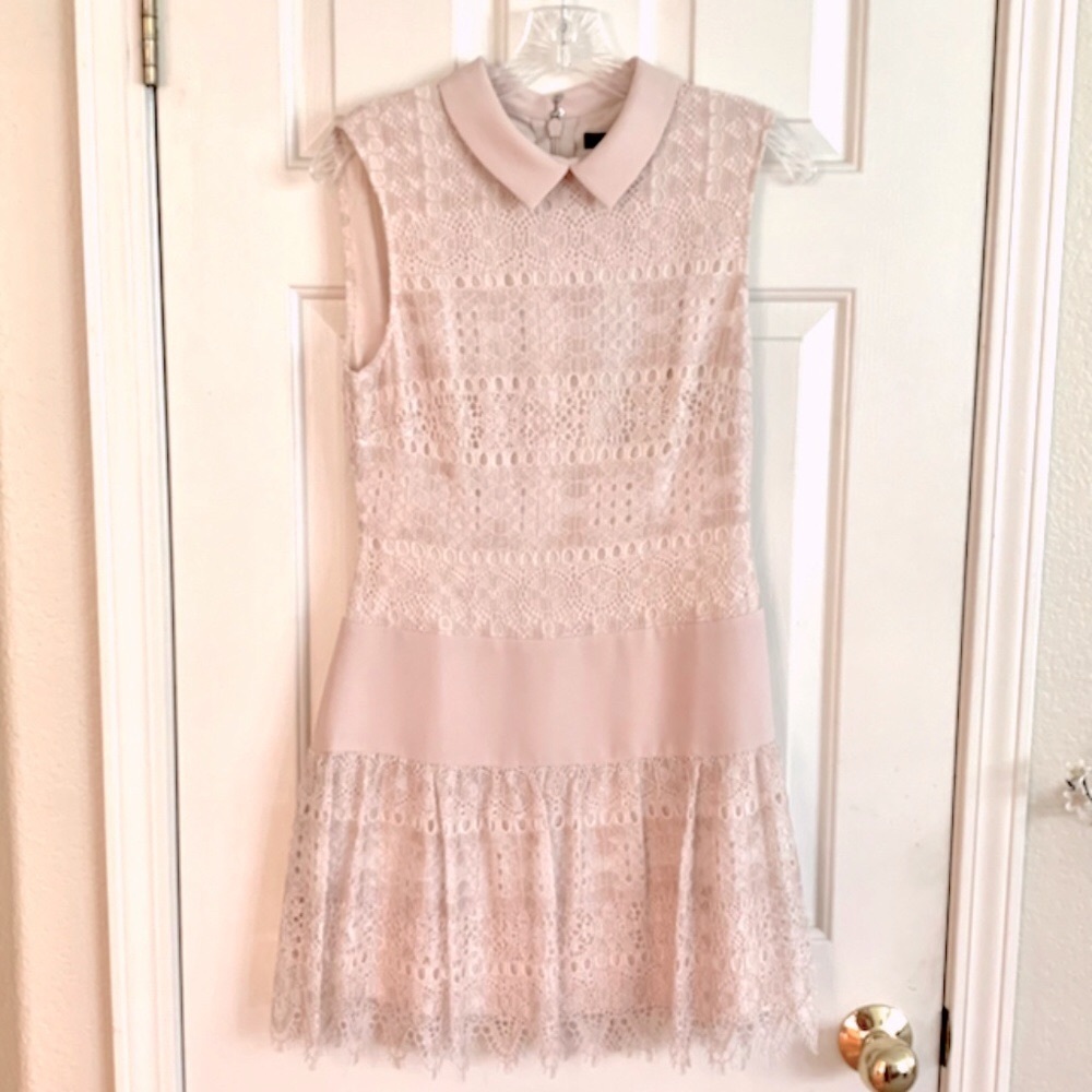 BCBG Maxazria Sleeveless Lace Drop-Waist Dress Size 4 NWT